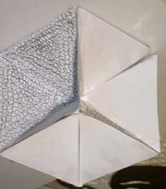 Shielas white cube 3.jpg