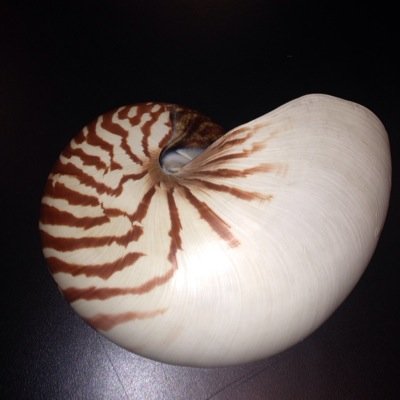 Klupperz-profile-jKT4CJ b.jpg