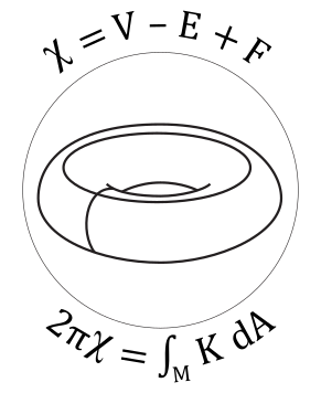 File:Cell decomposition of torus.png