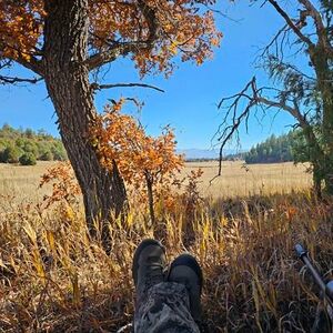 NM UAP-profile-sK-6YsFR.jpg