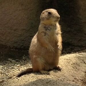 Karch andreas-profile-g6DopkAf.jpg