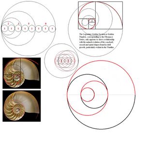 Nautilus shell and fibonacci.jpg