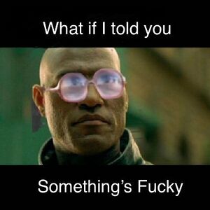 TheScottzilla-profile-OHxDxkE .jpg